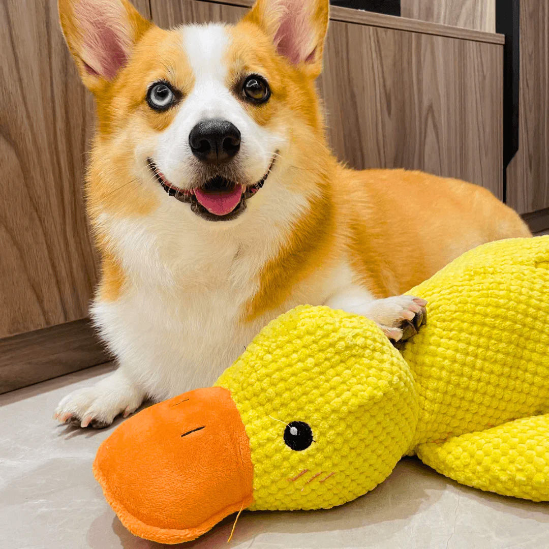 Indestructible Calming Duck -FREE TODAY ONLY