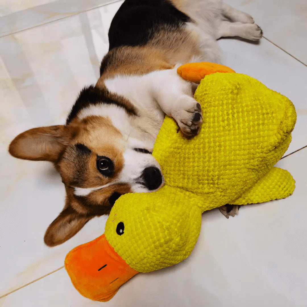 Indestructible Calming Duck -FREE TODAY ONLY