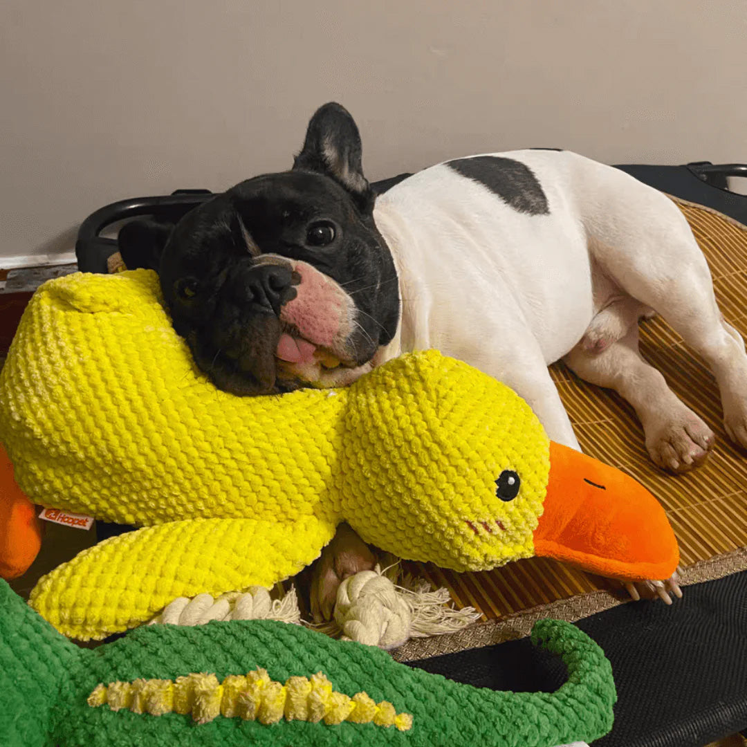 Indestructible Calming Duck -FREE TODAY ONLY