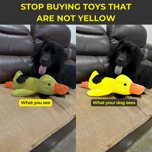 Indestructible Calming Duck -FREE TODAY ONLY