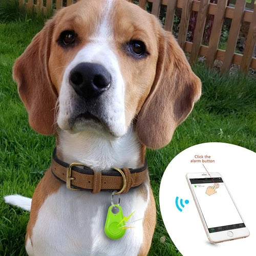 Traceur Sans Fil pour Animaux (Bluetooth & GPS) – GRATUIT AUJOURD’HUI SEULEMENT