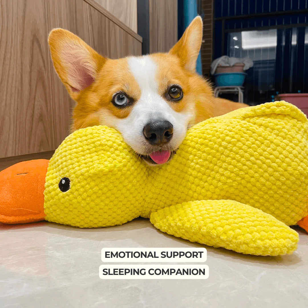 Indestructible Calming Duck -FREE TODAY ONLY