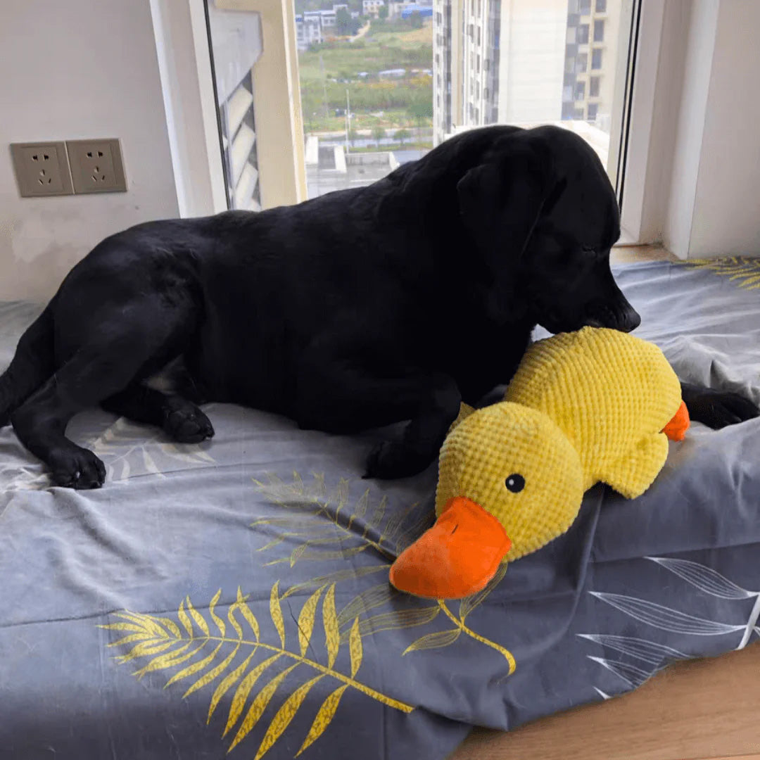 Indestructible Calming Duck -FREE TODAY ONLY