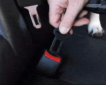Dog Car Seat Belt - FREE TODAY ONLY - Classy Pet Life