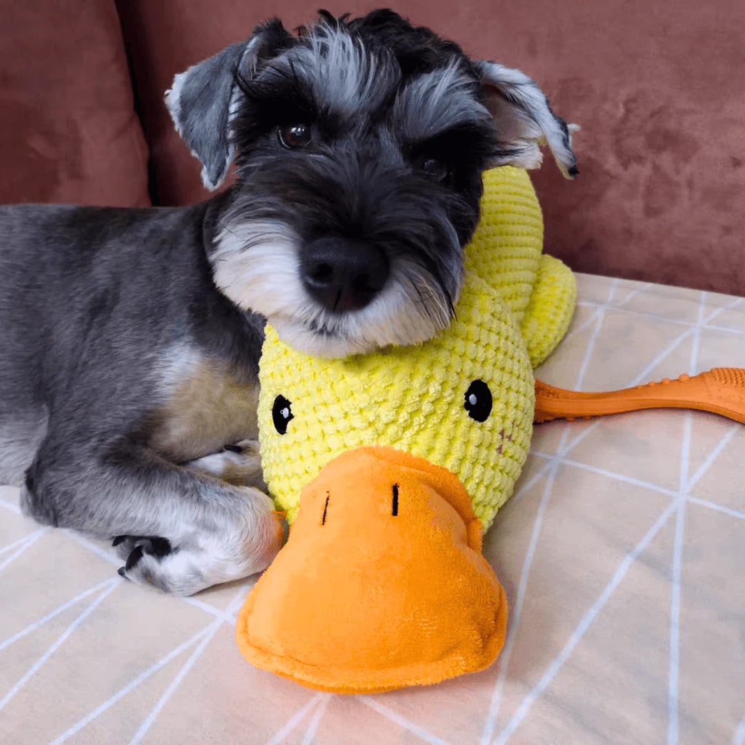 Indestructible Calming Duck -FREE TODAY ONLY