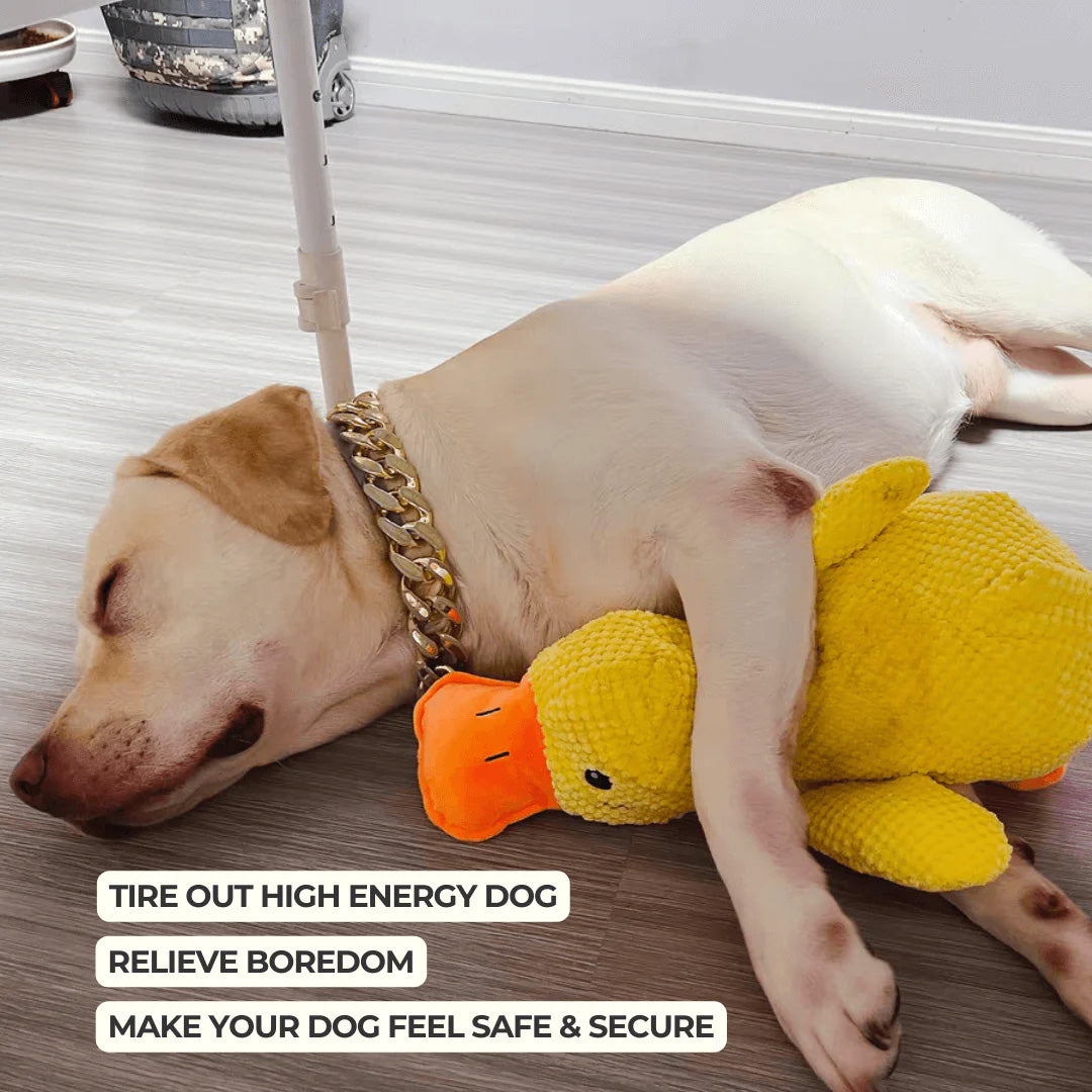 Indestructible Calming Duck -FREE TODAY ONLY