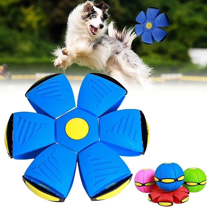 Balle Frisbee pour Chien – GRATUITE AUJOURD’HUI SEULEMENT