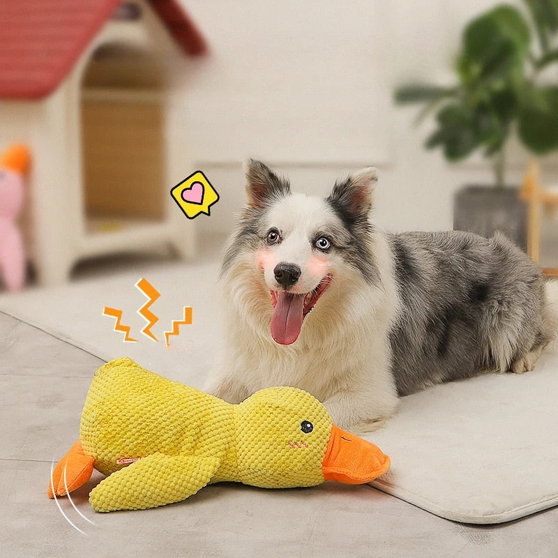 Indestructible Calming Duck -FREE TODAY ONLY