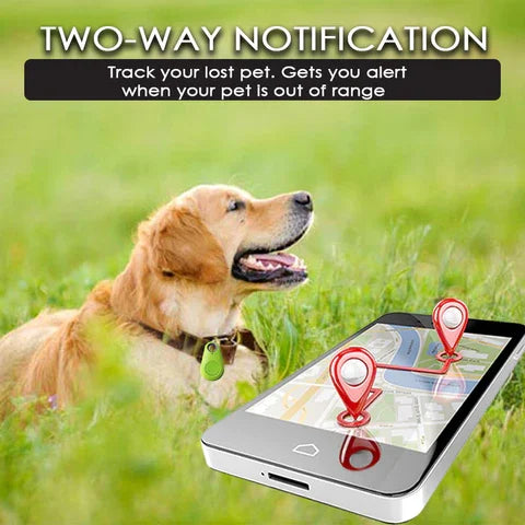 Traceur Sans Fil pour Animaux (Bluetooth & GPS) – GRATUIT AUJOURD’HUI SEULEMENT
