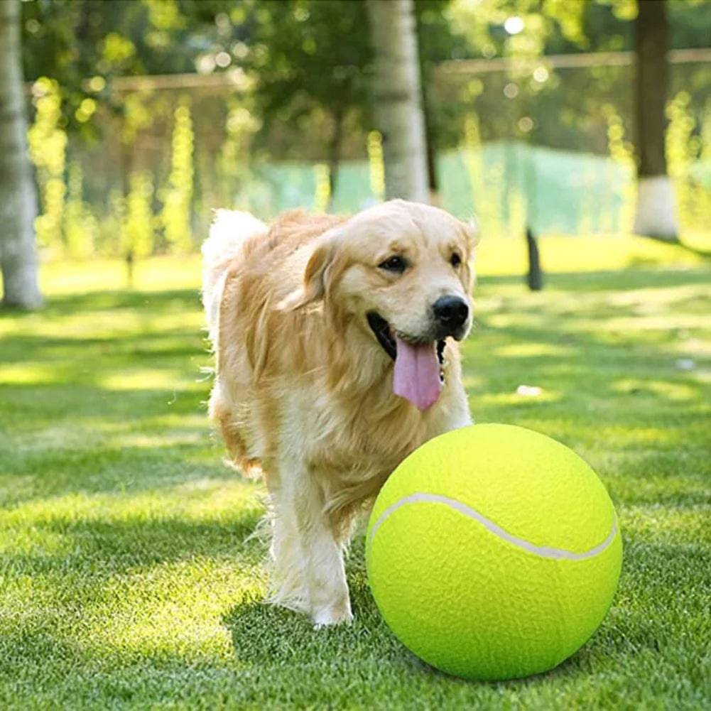 Balle de Tennis Géante – GRATUITE AUJOURD’HUI SEULEMENT