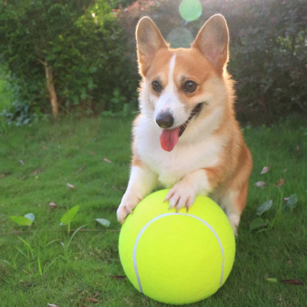 Balle de Tennis Géante – GRATUITE AUJOURD’HUI SEULEMENT