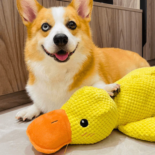 Pato Indestructible Anti-Estrés - GRATIS SOLO POR HOY