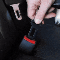 Dog Car Seat Belt - FREE TODAY ONLY - Classy Pet Life