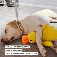 Indestructible Calming Duck -FREE TODAY ONLY