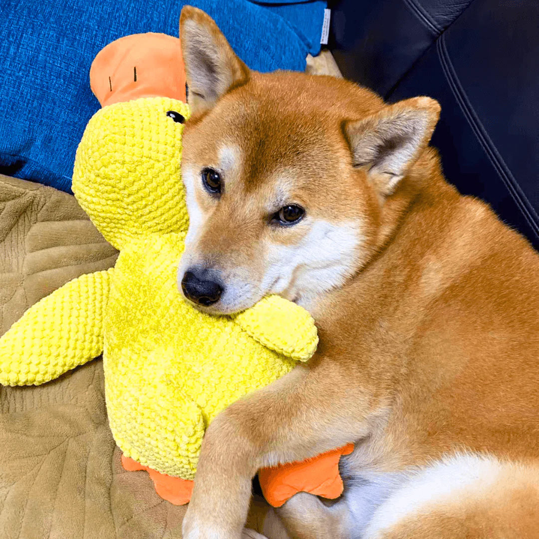 Indestructible Calming Duck -FREE TODAY ONLY