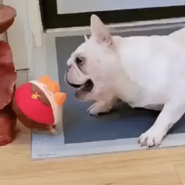Juguete de Peluche en Movimiento para Mascotas - GRATIS SOLO POR HOY