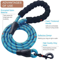 Strong Nylon Reflective Dog Leash - FREE SHIPPING - Classy Pet Life