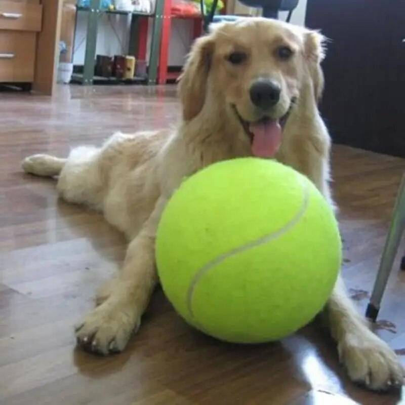Balle de Tennis Géante – GRATUITE AUJOURD’HUI SEULEMENT