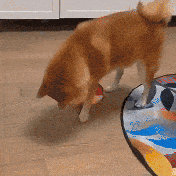 Juguete de Peluche en Movimiento para Mascotas - GRATIS SOLO POR HOY